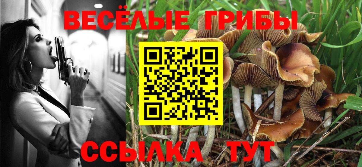 Ивантеевка  Галлюциногенные грибы Psilocybine cubensis  Вход с VPN 